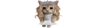 🐈