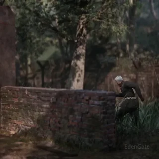 🐍