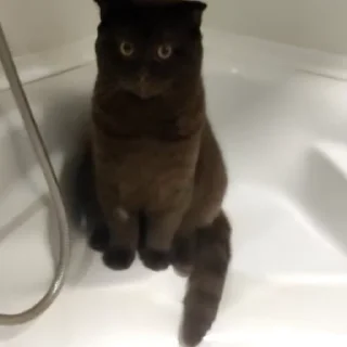 😕