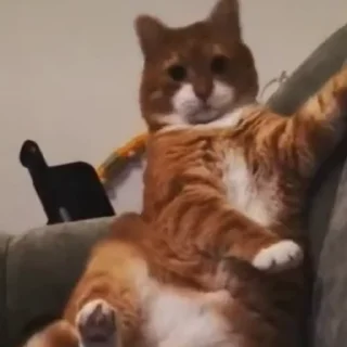 🤘