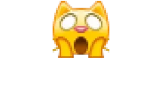 🙀