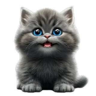 Котёнок 🐈‍⬛ @macvibe