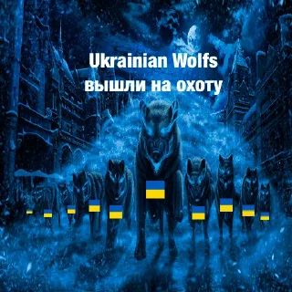 🐻