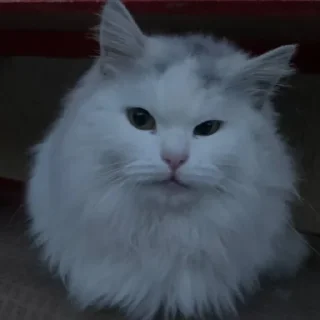 😉