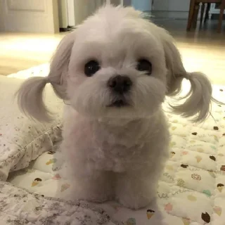 😚