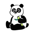 🐼