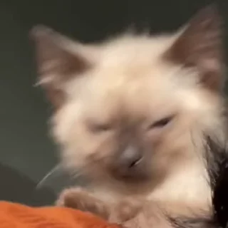 😁