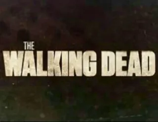 The Walking Dead ¦ @figurinhasWa