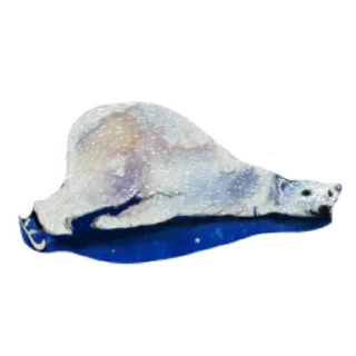 🐻
