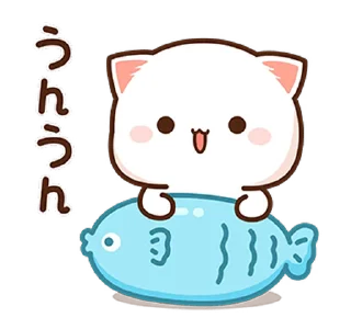 🐟