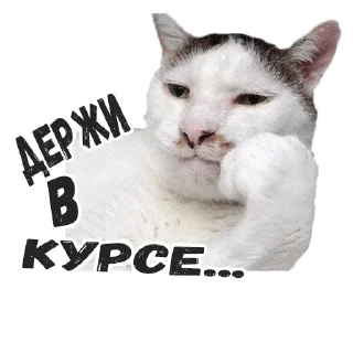 😶