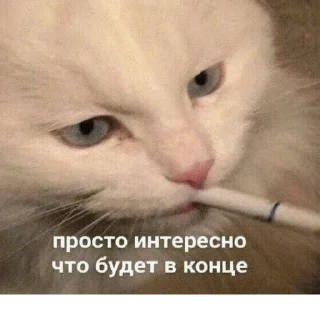 🤨