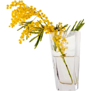 🌾