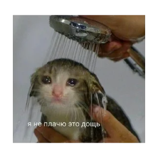 😭