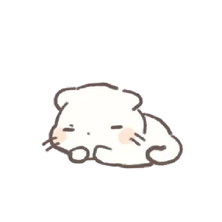 🍪