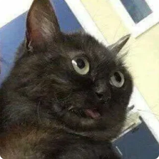 🤯