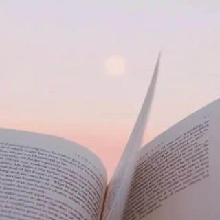 🌤️