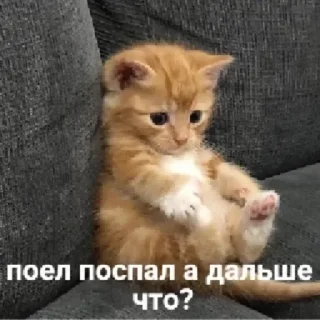 🙂