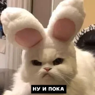 👋