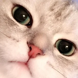 😕