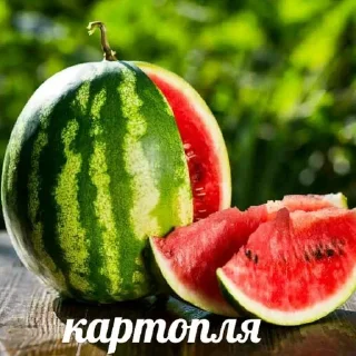 🍏