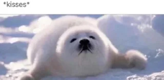 💋