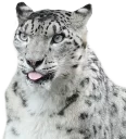 😛