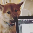 🐶