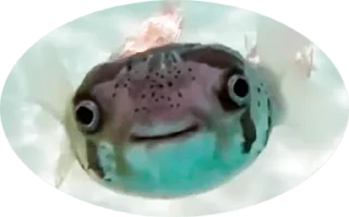 🙂