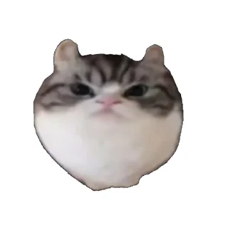 😡
