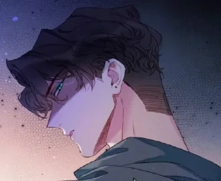 🌟
