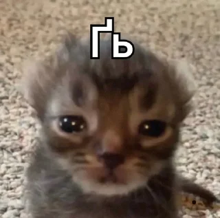 😥