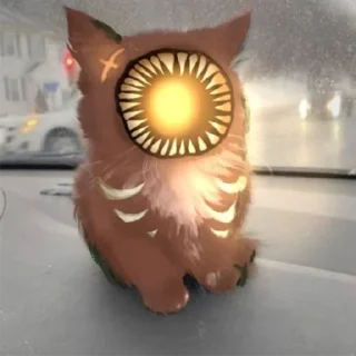 🙀