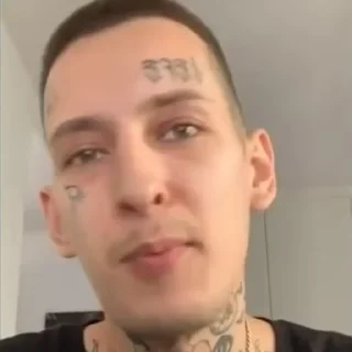 🐱