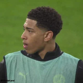 🤍