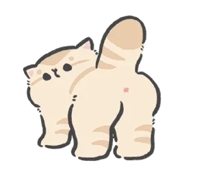 🐱