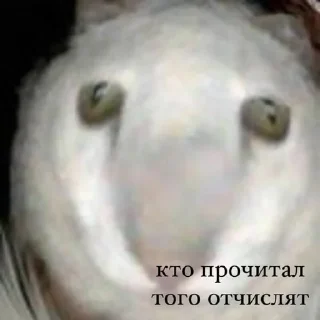🎉