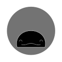 🐳