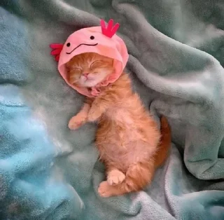 😴