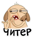 💩