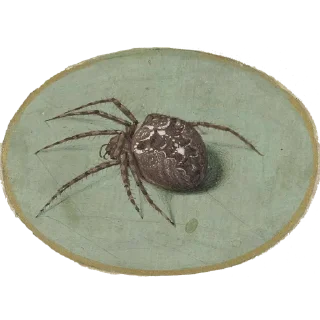 🕷