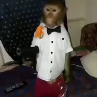 🐵