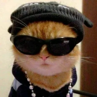 😎