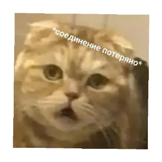 😐
