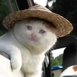 😥