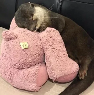 😴