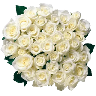 💐