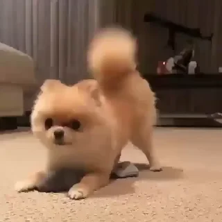 🤩