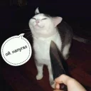 🔪