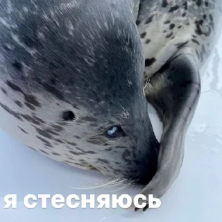 ☺️